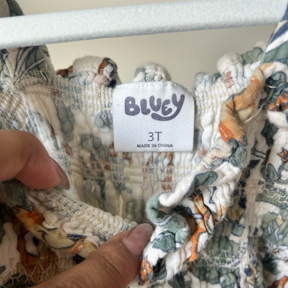 Toddler Bluey and Bingo Tropical Leaf Print Smocked Spring Summer Sundress 3T - Picture 4 of 6